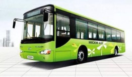 267路公交车爆料新闻,揭秘日常出行中的不为人知故事